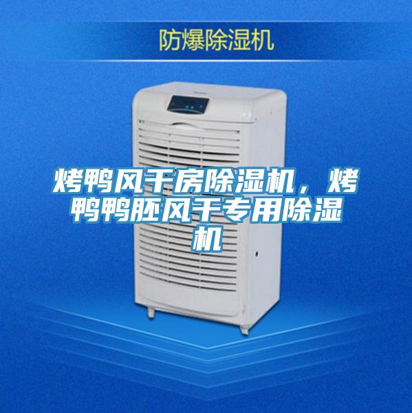 烤鴨風干房除濕機，烤鴨鴨胚風干專用除濕機