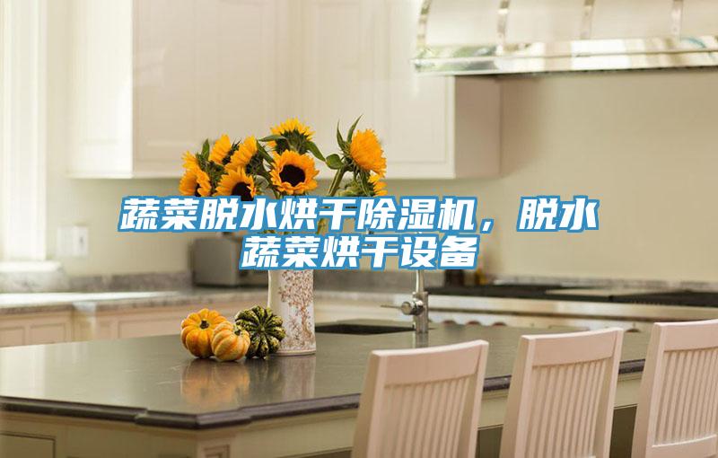 蔬菜脫水烘干除濕機，脫水蔬菜烘干設備