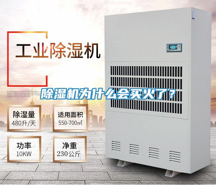 除濕機為什么會買火了？