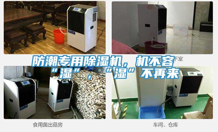 防潮專用除濕機,機不容“濕”,“濕”不再來