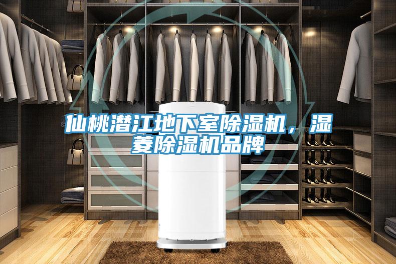 仙桃潛江地下室除濕機,濕菱除濕機品牌