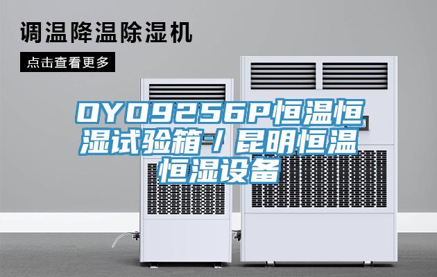 OYO9256P恒溫恒濕試驗箱/昆明恒溫恒濕設備
