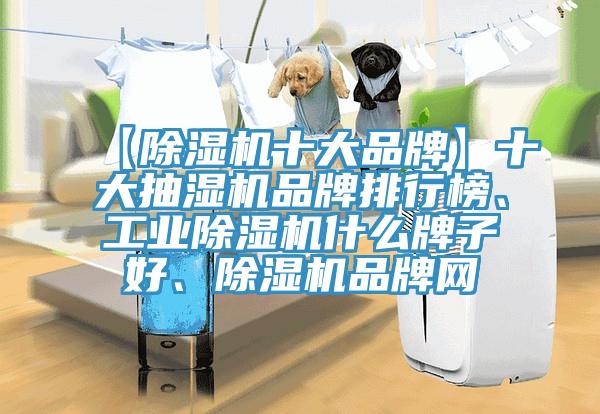 【除濕機十大品牌】十大抽濕機品牌排行榜、工業除濕機什么牌子好、除濕機品牌網