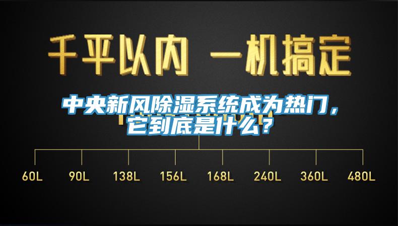 中央新風除濕系統成為熱門，它到底是什么？