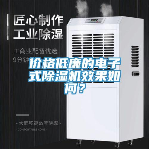 價格低廉的電子式除濕機效果如何?