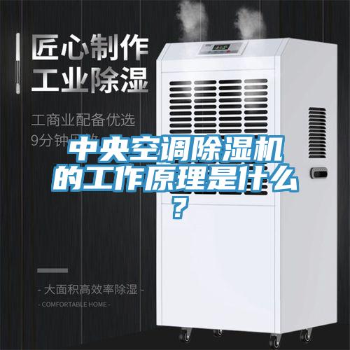 中央空調除濕機的工作原理是什么？