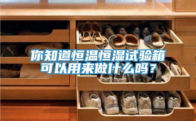 你知道恒溫恒濕試驗(yàn)箱可以用來做什么嗎?
