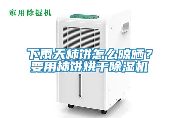 下雨天柿餅怎么晾曬？要用柿餅烘干除濕機(jī)