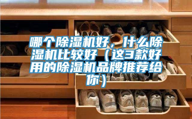 哪個除濕機好，什么除濕機比較好（這3款好用的除濕機品牌推薦給你）