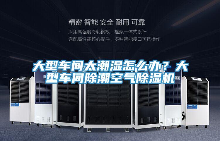 大型車間太潮濕怎么辦？大型車間除潮空氣除濕機