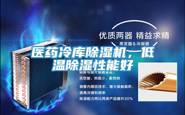 醫(yī)藥冷庫(kù)除濕機(jī)，低溫除濕性能好