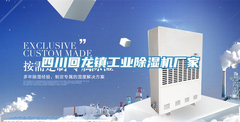 四川回龍鎮(zhèn)工業(yè)除濕機廠家