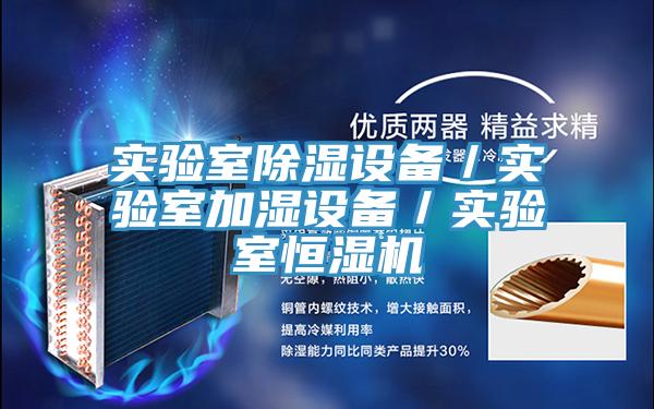 實驗室除濕設備/實驗室加濕設備/實驗室恒濕機