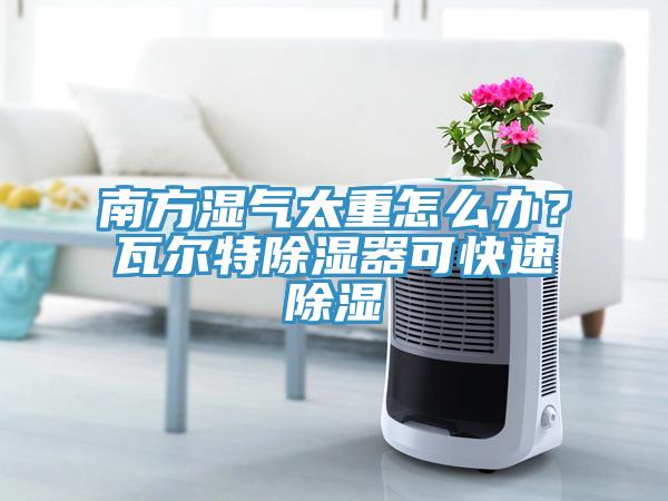南方濕氣太重怎么辦？瓦爾特除濕器可快速除濕