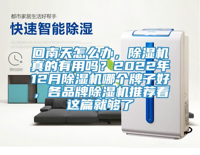回南天怎么辦，除濕機真的有用嗎？2022年12月除濕機哪個牌子好，各品牌除濕機推薦看這篇就夠了