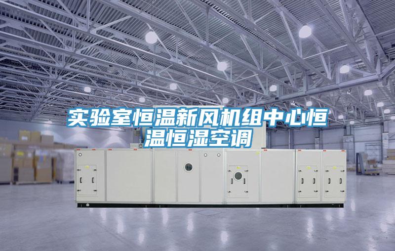 實驗室恒溫新風(fēng)機(jī)組中心恒溫恒濕空調(diào)