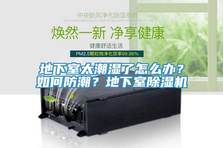 地下室太潮濕了怎么辦？如何防潮？地下室除濕機(jī)
