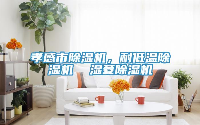 孝感市除濕機(jī)，耐低溫除濕機(jī)  濕菱除濕機(jī)
