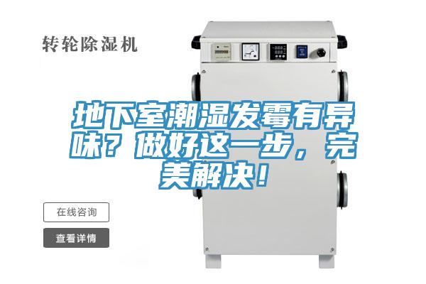地下室潮濕發霉有異味？做好這一步，完美解決！