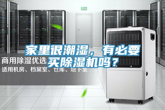 家里很潮濕，有必要買除濕機嗎？