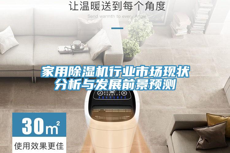 家用除濕機行業(yè)市場現(xiàn)狀分析與發(fā)展前景預測