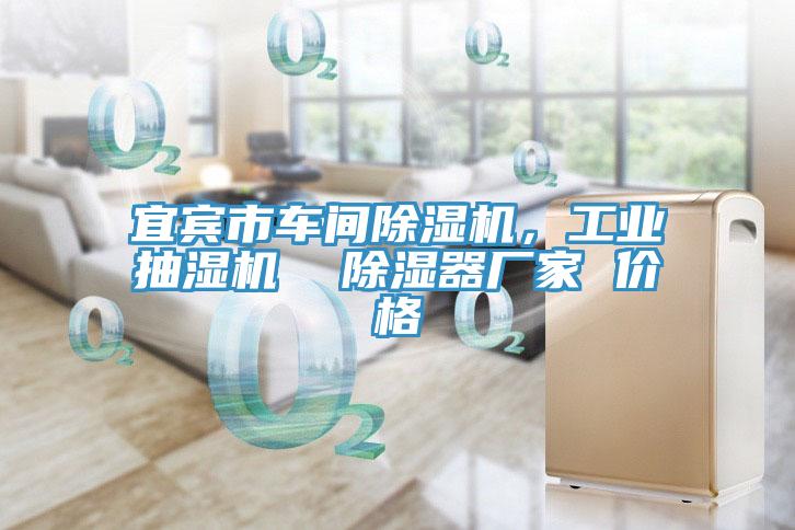 宜賓市車(chē)間除濕機(jī)，工業(yè)抽濕機(jī)  除濕器廠家 價(jià)格