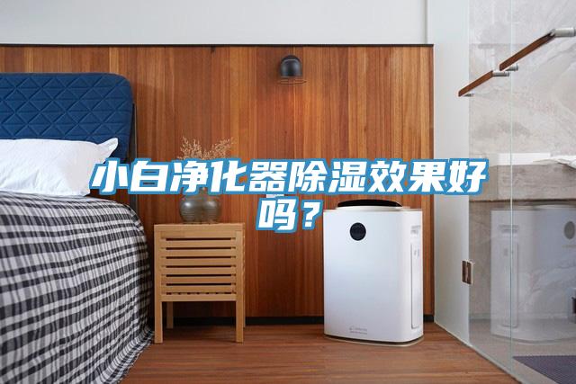 小白凈化器除濕效果好嗎？