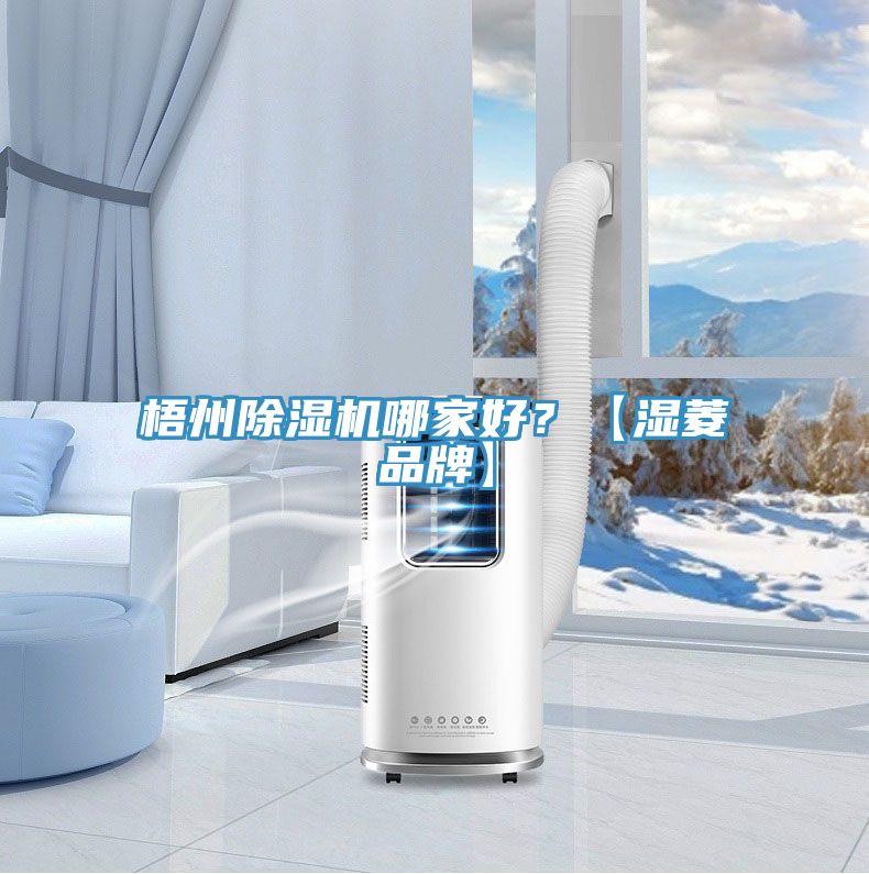 梧州除濕機哪家好？【濕菱品牌】