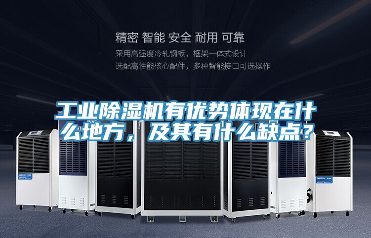 工業(yè)除濕機有優(yōu)勢體現(xiàn)在什么地方，及其有什么缺點？