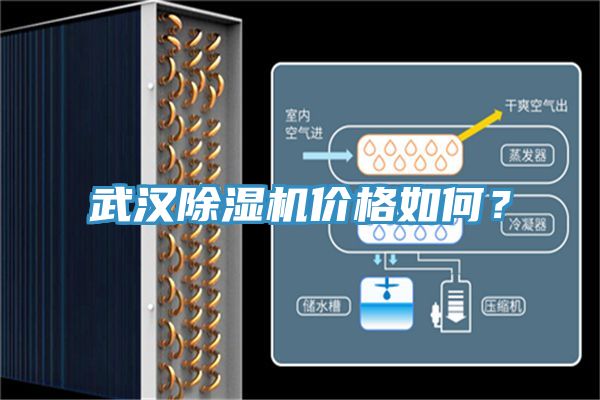 武漢除濕機價格如何？