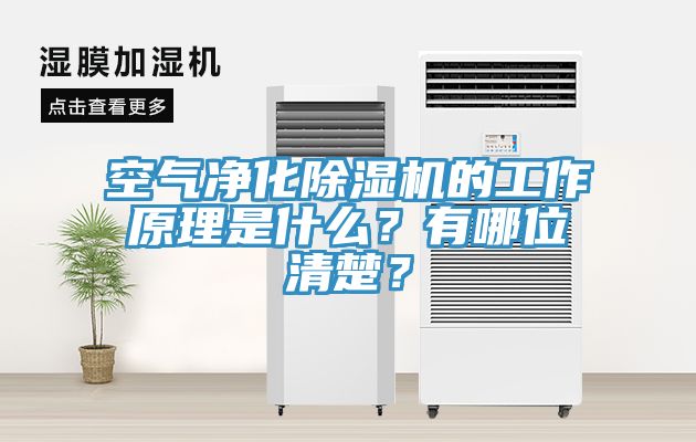 空氣凈化除濕機的工作原理是什么？有哪位清楚？