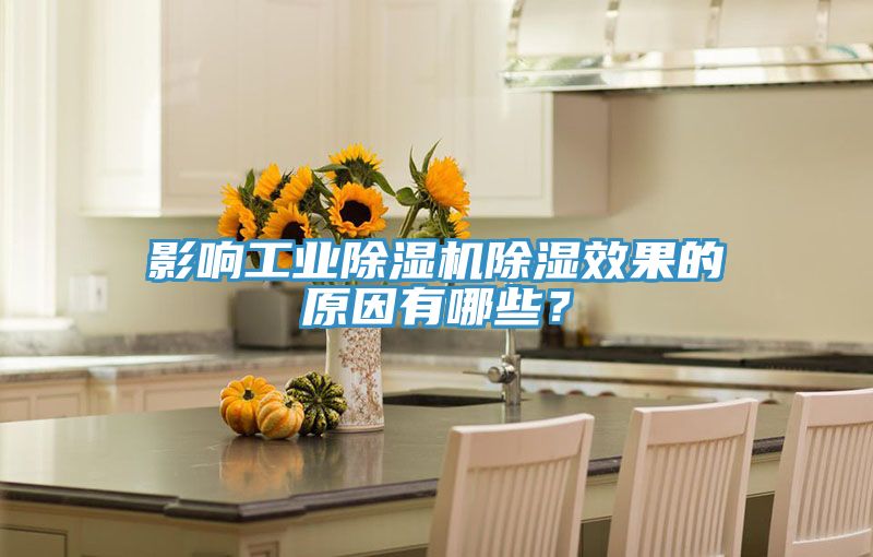 影響工業(yè)除濕機除濕效果的原因有哪些?
