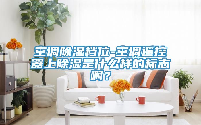空調除濕檔位-空調遙控器上除濕是什么樣的標志啊？
