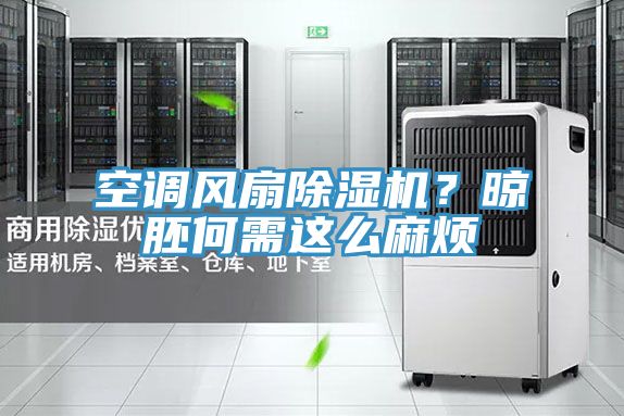 空調(diào)風扇除濕機？晾胚何需這么麻煩