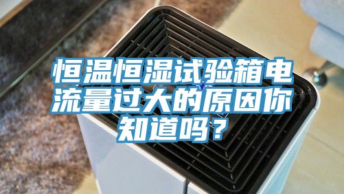 恒溫恒濕試驗箱電流量過大的原因你知道嗎？