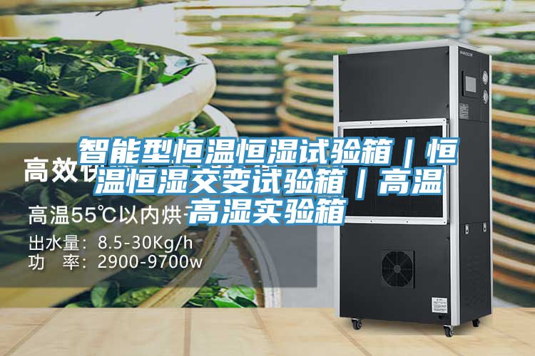 智能型恒溫恒濕試驗(yàn)箱|恒溫恒濕交變試驗(yàn)箱|高溫高濕實(shí)驗(yàn)箱
