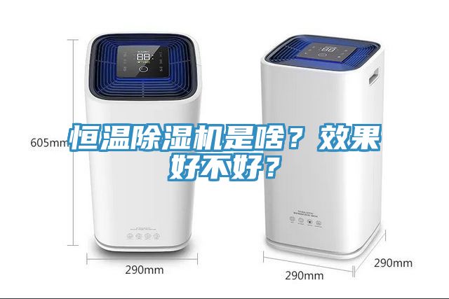恒溫除濕機是啥？效果好不好？