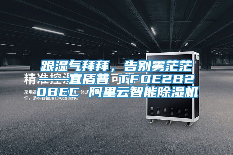 跟濕氣拜拜，告別霧茫茫——宜盾普 TFDE2B20BEC 阿里云智能除濕機