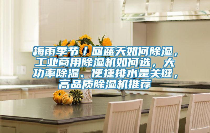 梅雨季節／回藍天如何除濕，工業商用除濕機如何選，大功率除濕、便捷排水是關鍵，高品質除濕機推薦