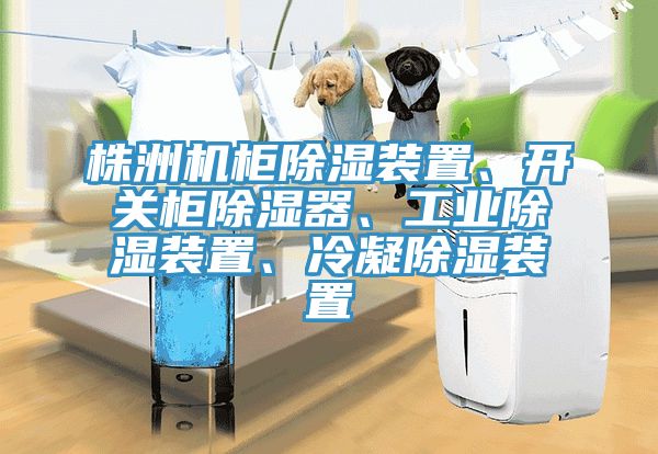 株洲機(jī)柜除濕裝置、開關(guān)柜除濕器、工業(yè)除濕裝置、冷凝除濕裝置