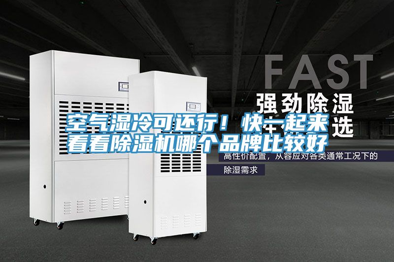 空氣濕冷可還行！快一起來看看除濕機哪個品牌比較好