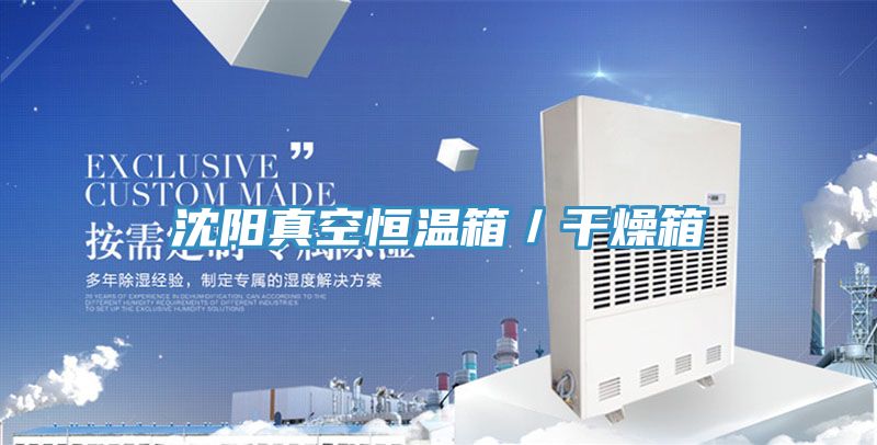 沈陽(yáng)真空恒溫箱/干燥箱