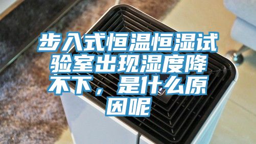 步入式恒溫恒濕試驗室出現濕度降不下,是什么原因呢