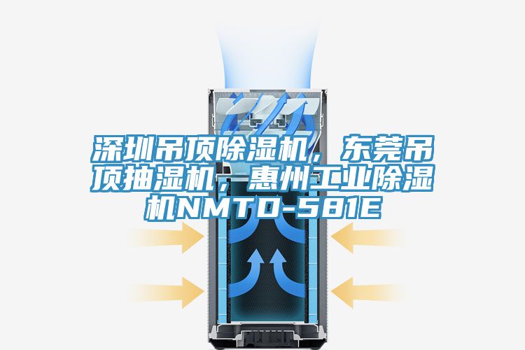 深圳吊頂除濕機，東莞吊頂抽濕機，惠州工業除濕機NMTD-581E