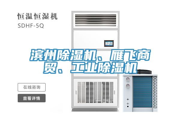 濱州除濕機、雁飛商貿、工業除濕機