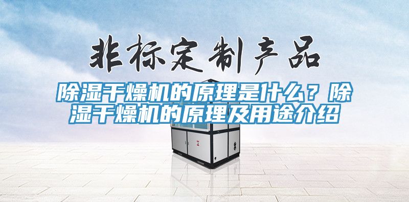 除濕干燥機的原理是什么?除濕干燥機的原理及用途介紹