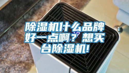 除濕機(jī)什么品牌好一點(diǎn)啊?想買臺(tái)除濕機(jī)!