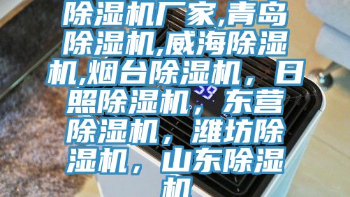 除濕機廠家,青島除濕機,威海除濕機,煙臺除濕機,日照除濕機,東營除濕機,濰坊除濕機,山東除濕機