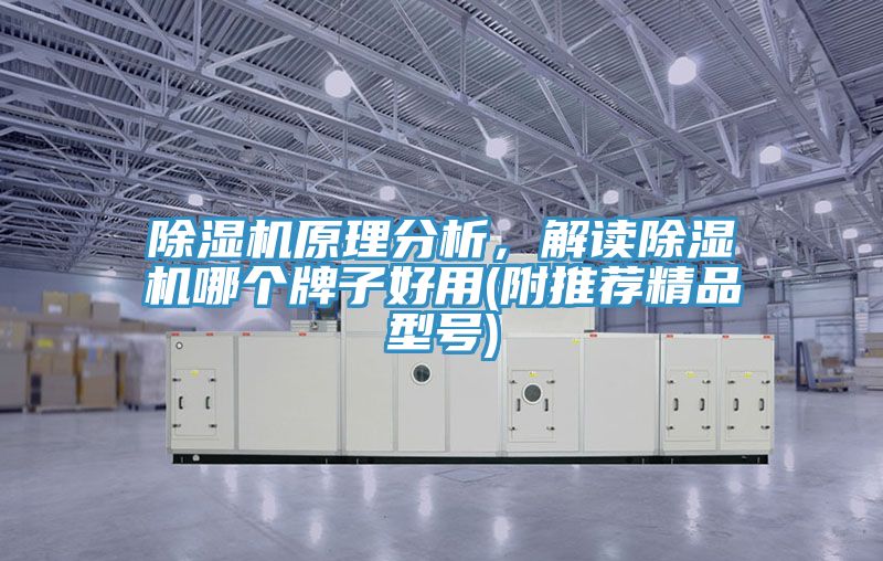 除濕機原理分析,解讀除濕機哪個牌子好用(附推薦精品型號)