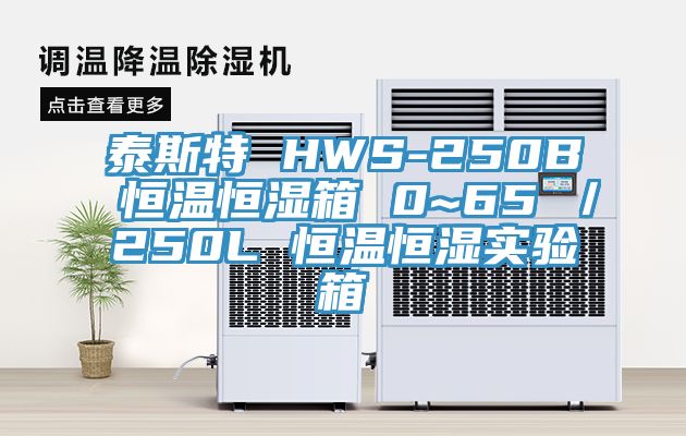 泰斯特 HWS-250B 恒溫恒濕箱 0~65℃/250L 恒溫恒濕實驗箱